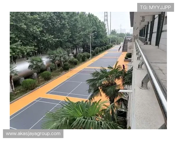 乐冠体育助力青少年体育发展推动校园体育全面升级实现体育产业与教育深度融合