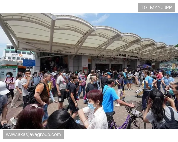 解决k8体育官网会员登录遇到的常见问题，提供详细操作指南与帮助